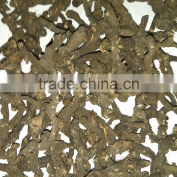 Supplier of Cyperus Scariosus in Bulk