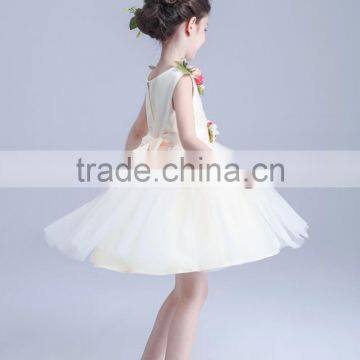 2017 Sun Dresses Summer Flowers Beach Dress photo-4