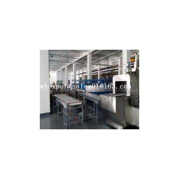 Silver Auto Mirror Plates Production Line