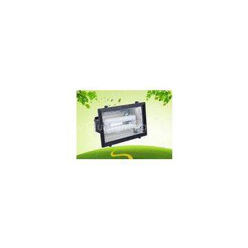 250Watt Induction Outside Flood Light Induction Lamp With Tempered Glass
