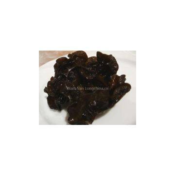 VIETNAM BLACK FUNGUS