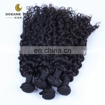 100% virgin malaysian curly hair