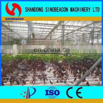 2017 Commercial Agricultural Aquaponics Greenhouse For Planting Vegetables