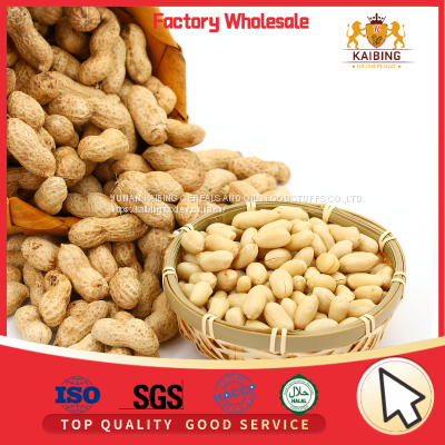 HIGH QUALITY BLANCHED PEANUT KERNELS 29/33 BY JUNAN KAIBING