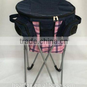 Stand cooler bag with carrying bag for outdoors