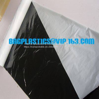 Agricultural Film, pe Film, Horticultural Mulch Film, Garden Perforated Ground Film,Mulching Films, Garden Film, pe Film photo-5
