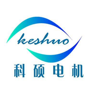 Shenzhen Keshuo Motor Co., Ltd.