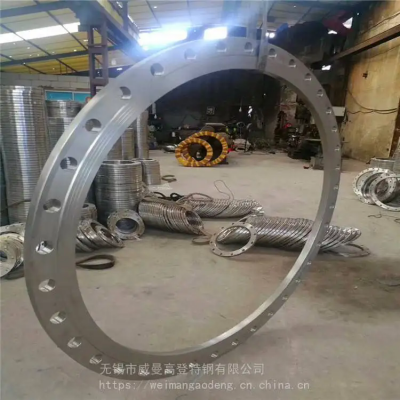 Connecting Pipeline With ASME Flanged Ring Plate SA182F317L Stainless Steel Flange and American Forged Ring