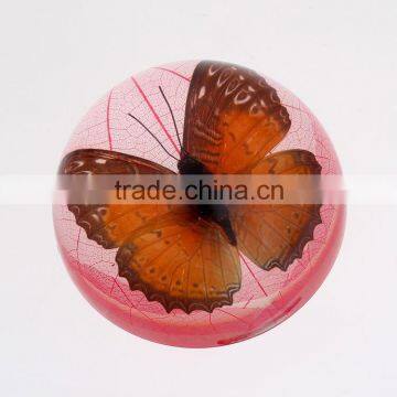 2016 particularly paperweight with real butterfly