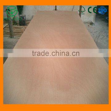 High Quality Bintangor Veneer for Interior Decoration form China Wood Factory