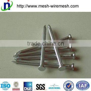 China Factory Common Nails/square Boat Nails/roofing Nails photo-4