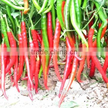 long hot pepper seeds SXP No.10