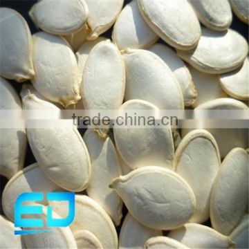 cheap price snow white pumpkin seed