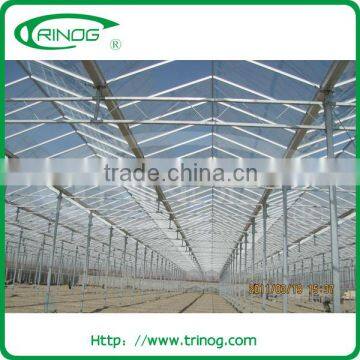 High Gutter and Roof Glass Greenhouse for Agriculture