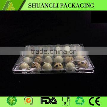 24 Holes rectangular clear transparent plastic quail egg cartons