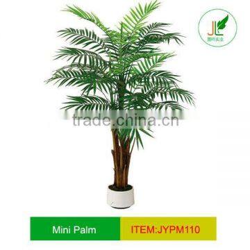 Hot sale mini palm tree for house decoration