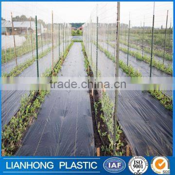 Customized ground cover mats, Recycled Polypropylene woven weed mat, anti grass fabric                        
                                                                                Supplier's Choice
