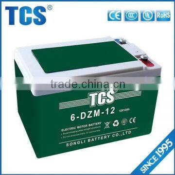 TCS hot sell 6-DZM-12 36v battery for electric bike battery