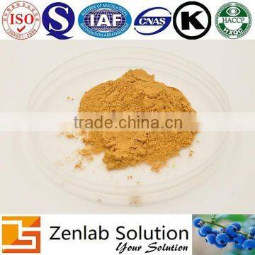 Elderberry Powder Sambucus Williamsii Hance Extract