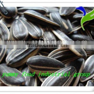 Chinese sunflower seeds by roasted with papper bag