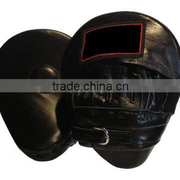 Focus Mitts
