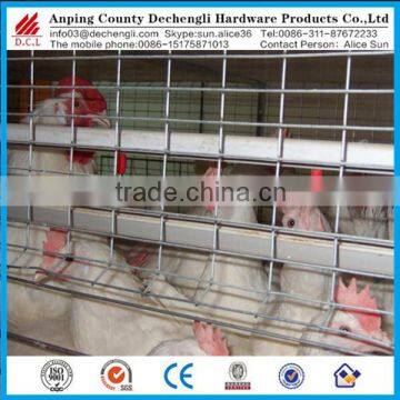 design rabbit cage,Chicken cage ,pigeon cage