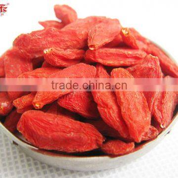 Organic food , gojiberry , goji berries, grade B from Ningxia