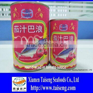 In Tomato Sauce 155g Canned Sardine