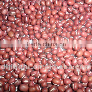 small red bean 2011 crop