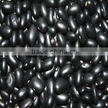 fesh chinese black beans