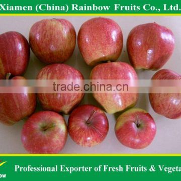 Chinese Red Apple/Red star apple