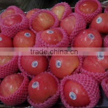 Red Color and Fresh Fuji Apple Fruits