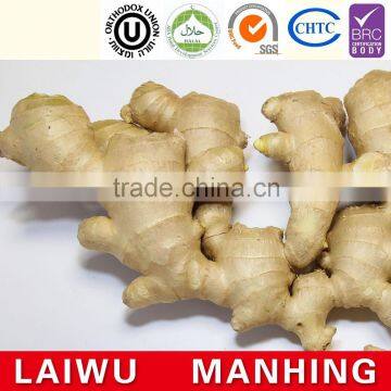 2016 dried yellow ginger price in China