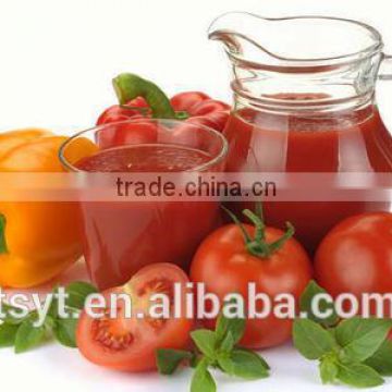 Grade A Canned Tomato Paste / Puree