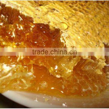 pure bulk bee honeycomb honey packed in honey jar for beauty and health