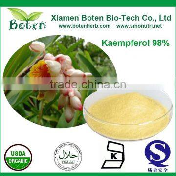 Kaempferol Powder