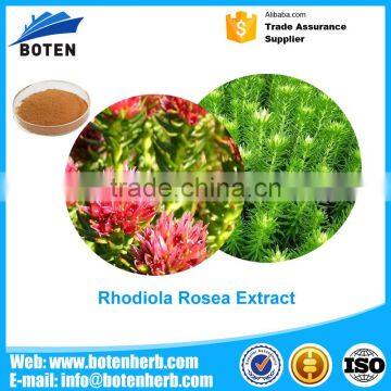 Top Quality Skin caring rhodiola rosea extract pure salidrosides 5% with A Discount