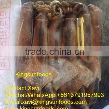 300g+ Wholesale Good Taste W/R Illex Squid