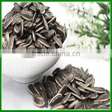 5009 Spiced Sunflower Seeds With Decilious Taste For Sale