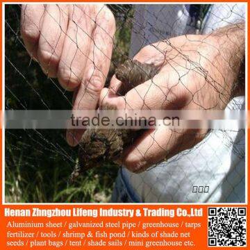 best selling pe plant support anti bird green net , nylon greenhouse anti bird trap mist net , plastic fruit bird protection net