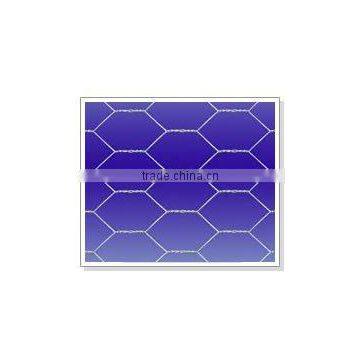 Hexagonal wire mesh