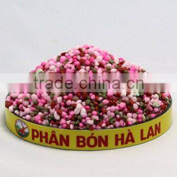 BIG ONE FOR RICE photo-5