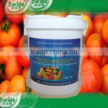 seaweed liquid fertilizer for vegetables