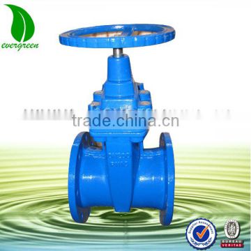 BS Cast iron gate valve PN16 of gate valve