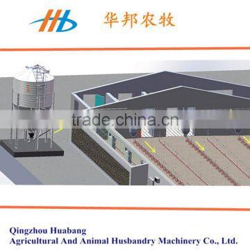 auger conveying feeding system for poultry house