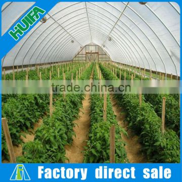 Quality assurance mushroom greenhouse with FRP plastic sheet covering