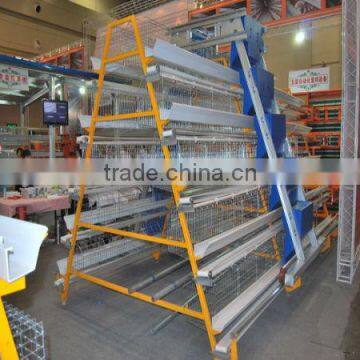 galvanized steel wire layer chicken cage