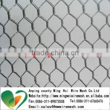 Hexagonal Wire Mesh/Galvanized Chicken Wire Mesh/Rabbit Wire Mesh