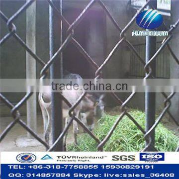 zoo enclouse mesh PVC coated chain link fence animal zoo fence (factory)