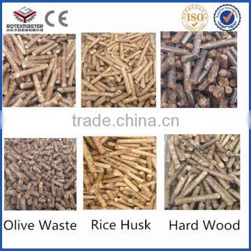 CE Certified Popular Oil Palm Trunk Fiber(OPTF) Pellet Production Line photo-6